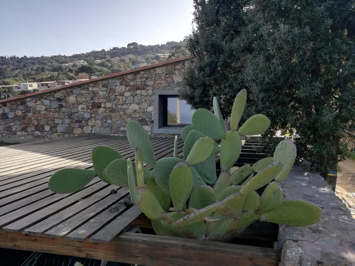 Bed & Breakfast Clos Olivella Monticello